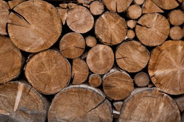 Yakacak odun yığını