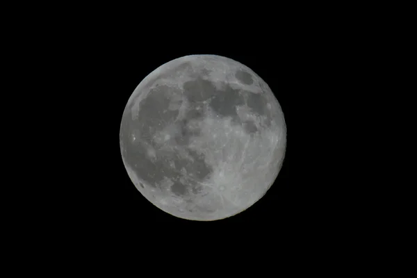 Full Moon — Stock Photo, Image