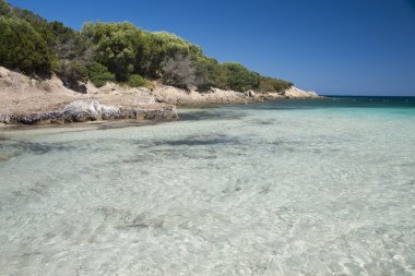 Cala Granu 'daki denizin harika renkleri, Porto Cervo yakınlarında bir körfez.