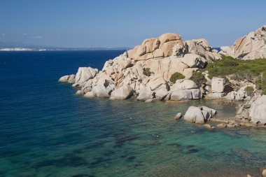 cala spinosa Sardunya Körfezi