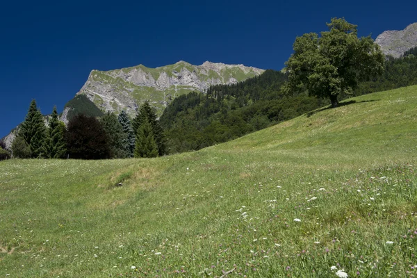 Maienfeld in Svizzera Alpi — Foto Stock