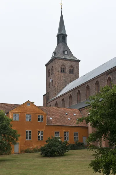 Szent Canute székesegyház-Odense — Stock Fotó