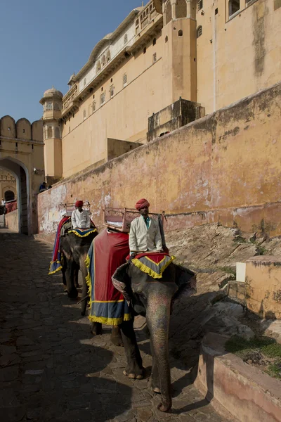 Elephants and Mahouts at Amber Fort — Stock Photo, Image