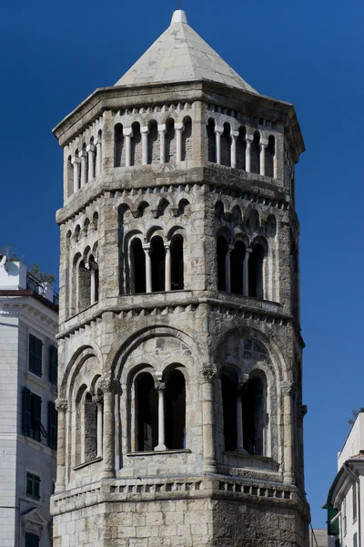 The Steeple of San Donato — Stock Photo, Image