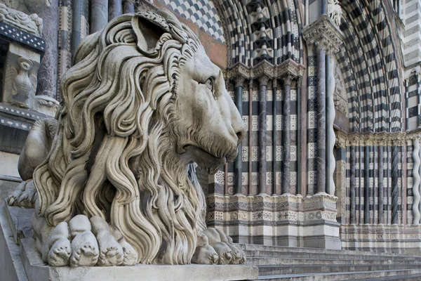 Löwe von San Lorenzo, die Kathedrale von Genua — Stockfoto