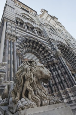 san lorenzo, Cenova katedral aslan