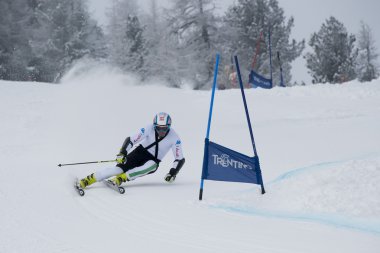 kayakçı büyük slalom testi