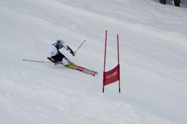kayakçı büyük slalom testi