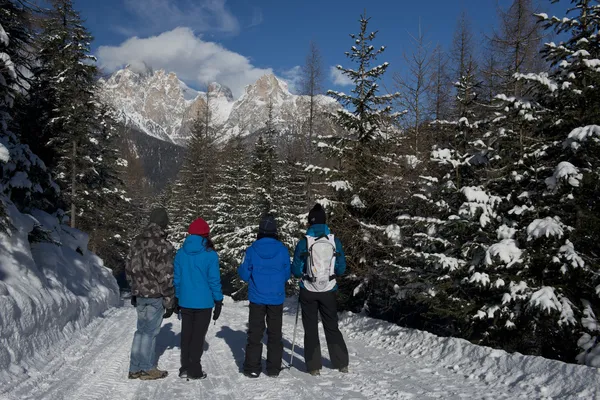 Los excursionistas en un sendero cubierto de nieve, en yoing la vista —  Fotos de Stock