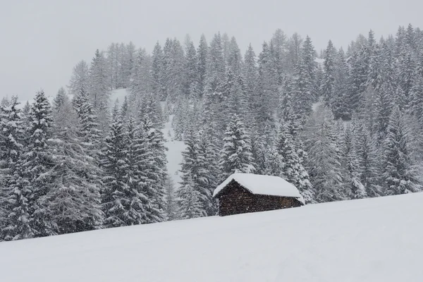 Chalet val di Fassa — Foto Stock