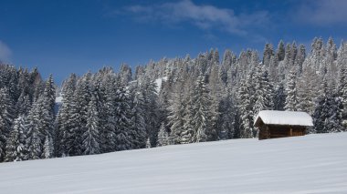 val di fassa içinde dağ evi