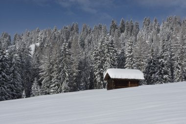 val di fassa içinde dağ evi