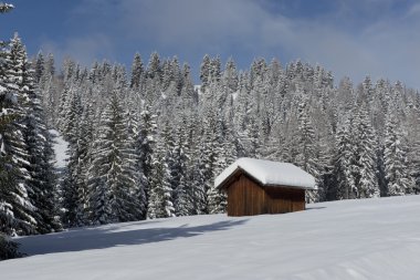 val di fassa içinde dağ evi