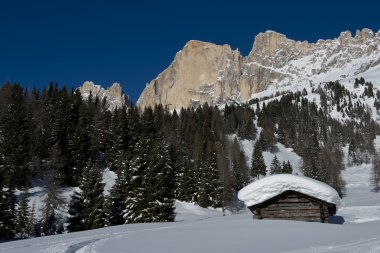 Chalet in the Dolomiti clipart