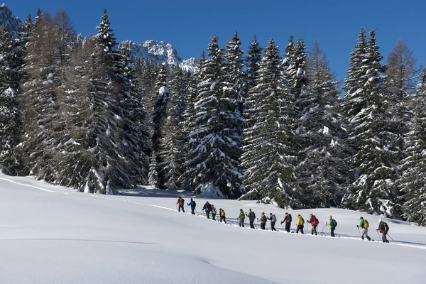 Escursionisti nelle Dolomiti — Foto Stock