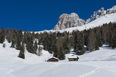 Chalet in the Dolomiti clipart