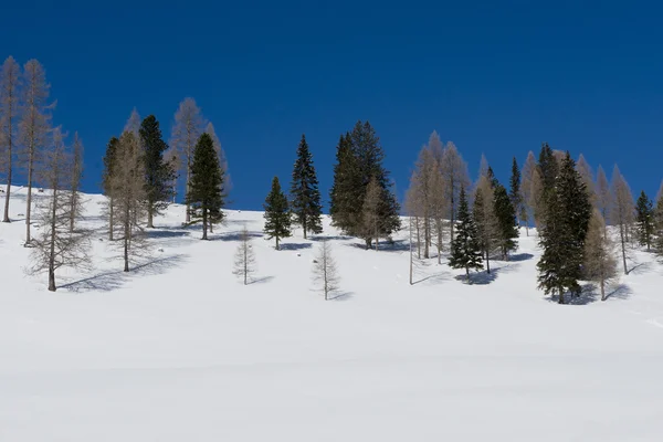 Paesaggio invernale nelle Dolomiti — Foto Stock