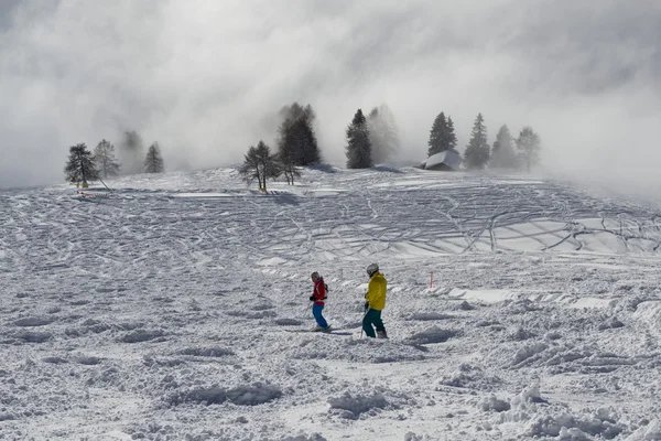 滑雪对雾 — 图库照片
