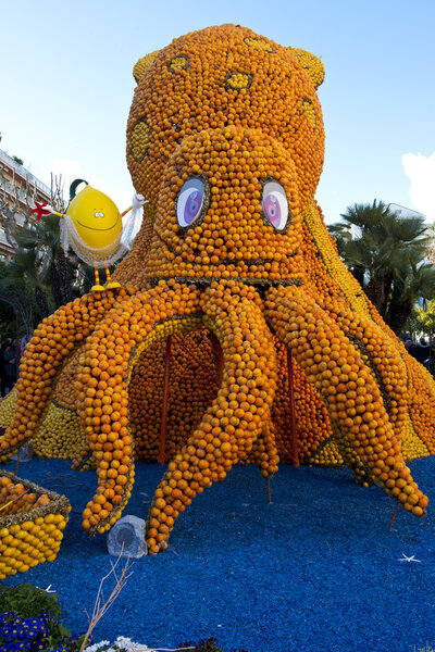 Citrus Exhibition at the Lemon Festival of Menton