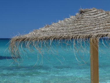 tropikal deniz suyu