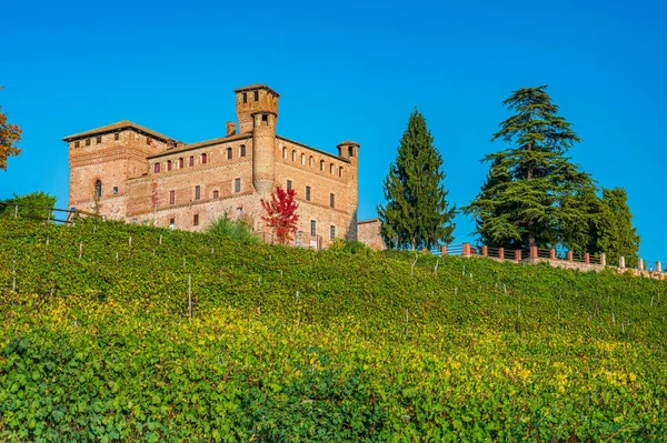 Castle Grinzane Cavour Vineyard Langhe Unesco World Heritage Site — Stock Photo, Image