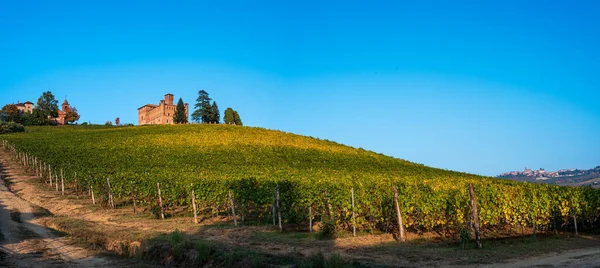 Castle Grinzane Cavour Vineyard Langhe Unesco World Heritage Site — Stock Photo, Image