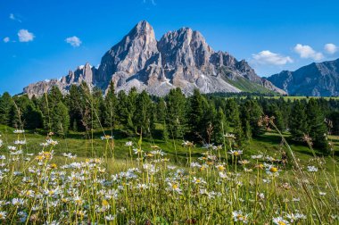Güney Tyrol, İtalya 'da bir Dolomitler dağı olan Peitlerkofel' in (Sass de Putia) manzarası.