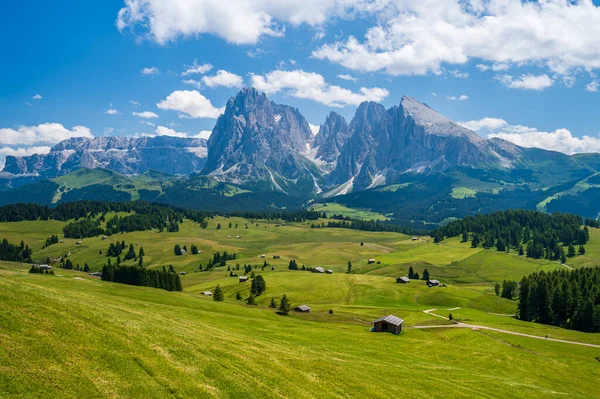 Vista Sul Magnifico Altopiano Dell Alpe Siusi Durante Stagione Estiva — Foto Stock