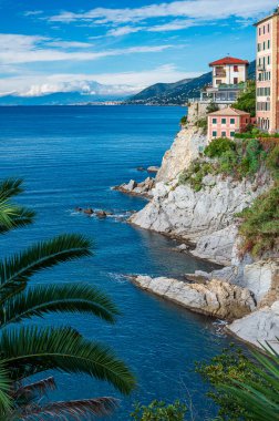 View of the maritime village of Camogli on the Italian Riviera, with its colorful houses