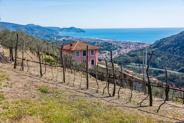 Stad Chiavari Gezien Vanuit Een Heiligdom Heuvels — Stockfoto