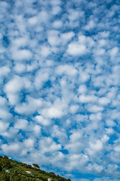 Cielo Lleno Nubes Blancas — Foto de Stock