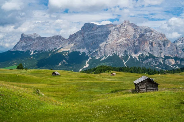 Plateau Pralongia Cœur Des Dolomites Entre Corvara San Cassiano — Photo