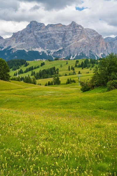 Náhorní Plošina Prónie Srdci Dolomit Mezi Corvara San Cassiano — Stock fotografie