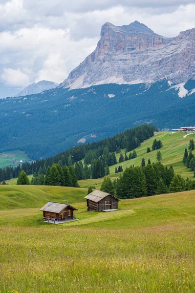 Altopiano Pralongia Nel Cuore Delle Dolomiti Tra Corvara San Cassiano — Foto Stock