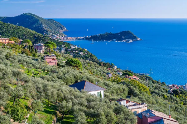 Uitzicht Kust Tussen Lavagna Sestri Levante Gezien Vanaf Santa Giulia — Stockfoto