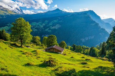 Grindelwald Vadisi 'ndeki Idyllic manzara, İsviçre' nin en manzaralı yerlerinden biri.