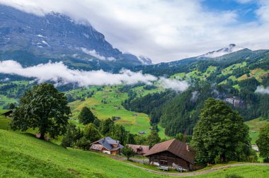 Grindelwald Vadisi 'ndeki Idyllic manzara, İsviçre' nin en manzaralı yerlerinden biri.