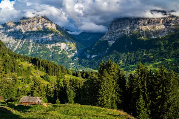 Idylliczny Krajobraz Dolinie Grindelwald Jednym Najbardziej Malowniczych Miejsc Szwajcarii — Zdjęcie stockowe