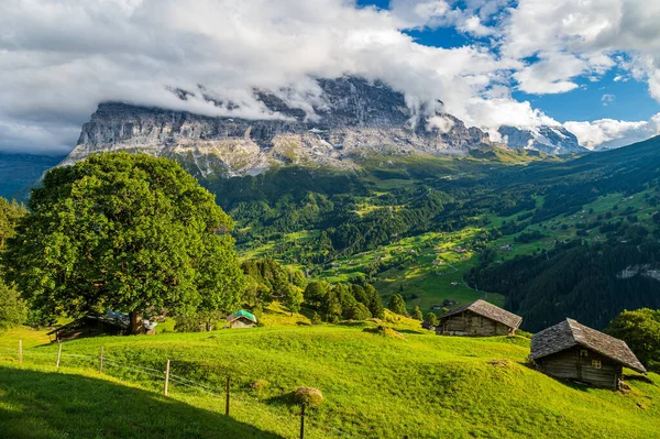 Idylická Krajina Údolí Grindelwald Jedno Nejmalebnějších Míst Švýcarsku — Stock fotografie