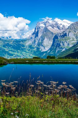 Grindelwald, Bernese Oberland, İsviçre 'de güzel bir manzara.