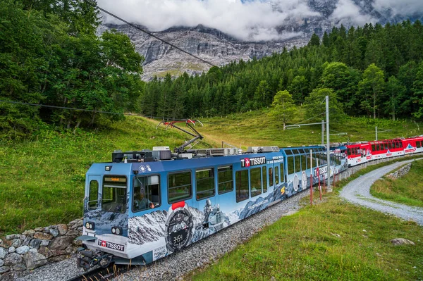 Tåget Som Förbinder Grindelwald Med Jungfraujoch Genom Kleine Scheidegg — Stockfoto