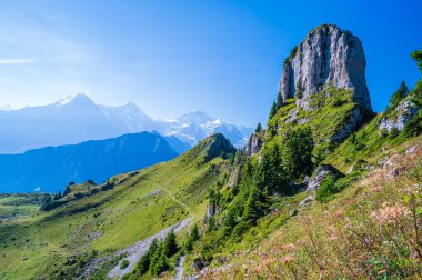 Schynighe Platte Thunersee, Brienzersee ve Bernese Alpleri üzerinde güzel bir panoramik plato.