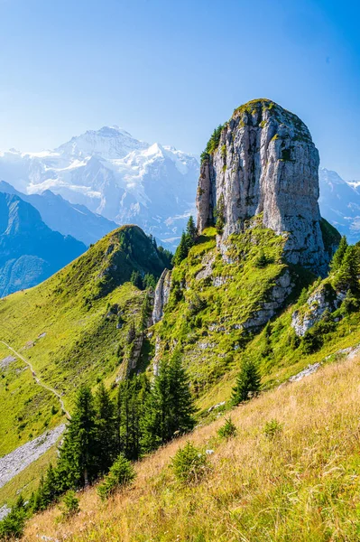 Schynighe Platte Vacker Utsiktsplatå Över Thunersee Och Brienzersee Och Bernese — Stockfoto