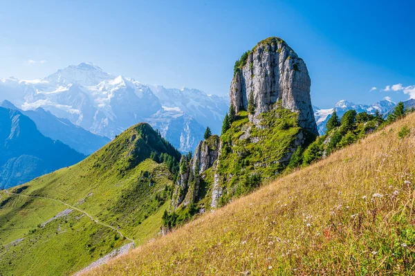 Schynighe Platte Krásné Panoramatické Náhorní Plošiny Nad Thunersee Brienzersee Bernese — Stock fotografie