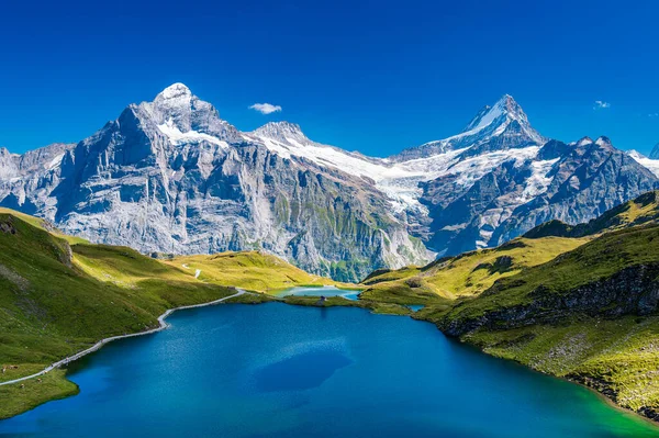 Bachalpsee Pequeno Lago Sobre Grindelwald Onde Picos Alpinos Refletem — Fotografia de Stock