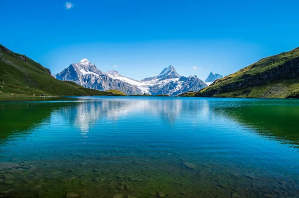 Bachalpsee Pequeno Lago Sobre Grindelwald Onde Picos Alpinos Refletem — Fotografia de Stock