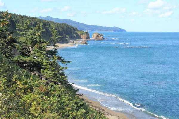 Coast of Sakhalin Island — Stock Photo, Image