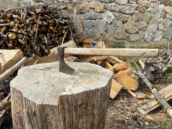 Ağaç kütüğüne balta ve odun. Balta ve ormanın en üst görüntüsü. Chopper üzerinde seçici odak.