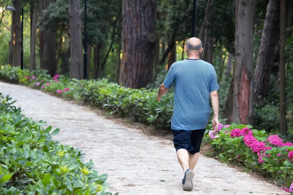 elderly or senior man walking in park in a summer day. sport and running concept for old people.