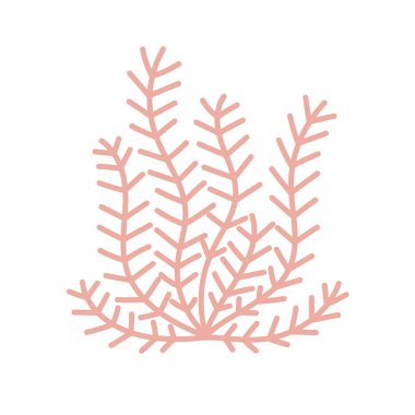 Su altı bitkileri, yosunlar. Mercanlar. Çizgi film tarzında düz vektör çizimi beyaz arkaplanda izole edildi.